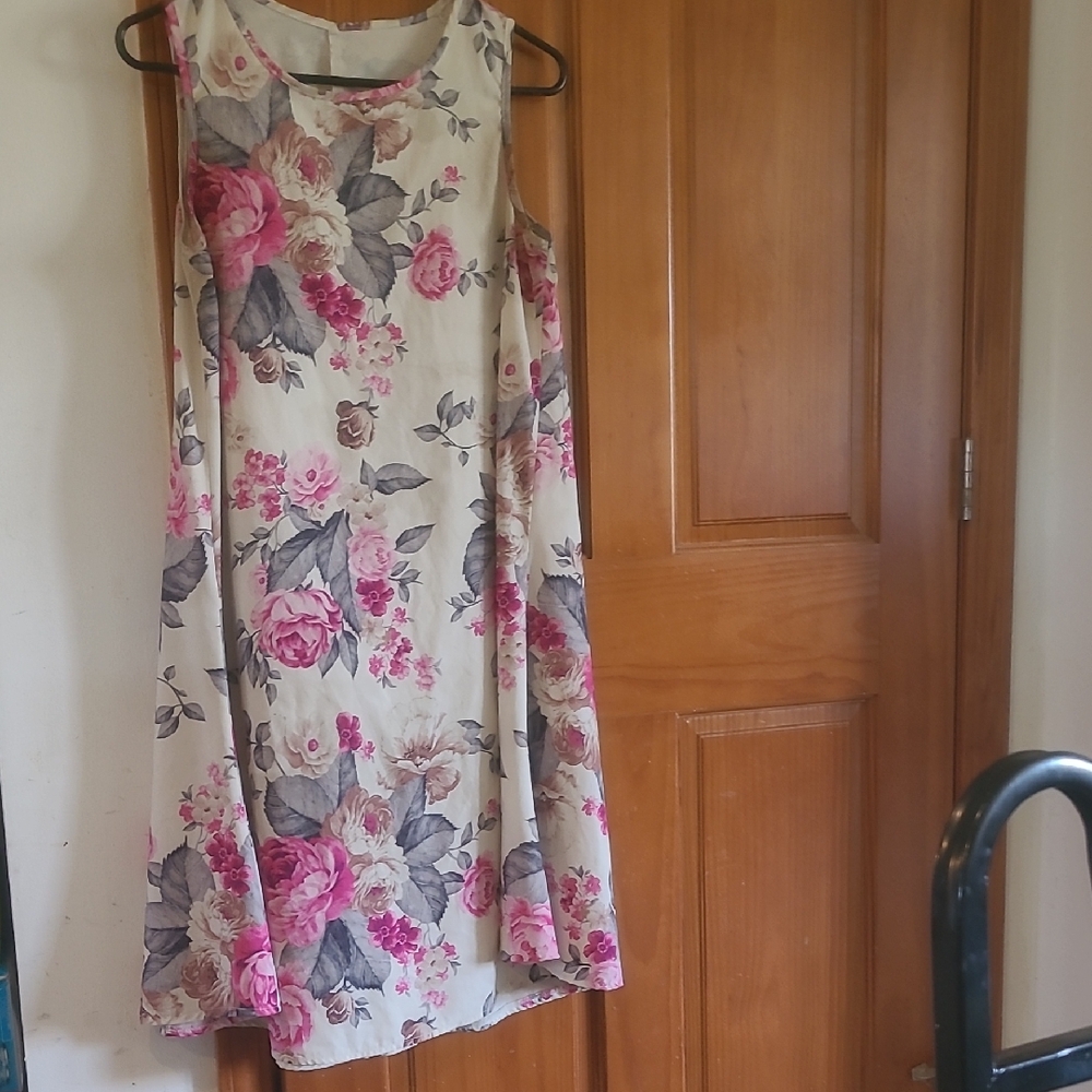 Sleeveless Floral A-Line Dress in Pink  Cream Sz Small Midi